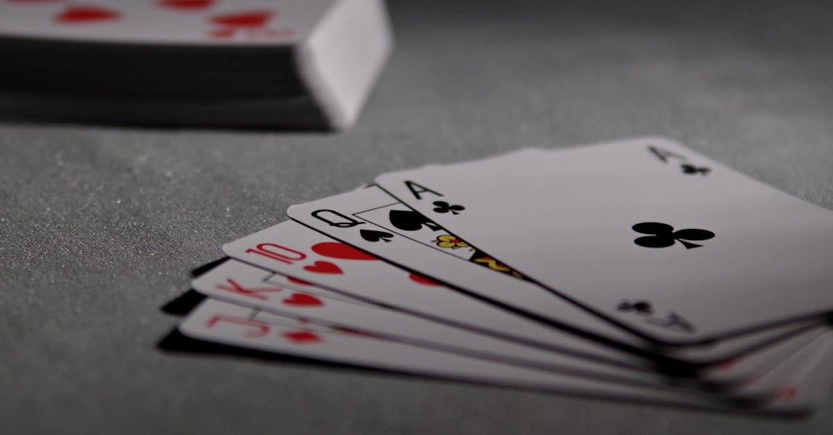 Мудрый подход к программам лояльности казино без депозита