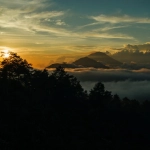 Философия риска и жизненные уроки из мира Wild West Gold