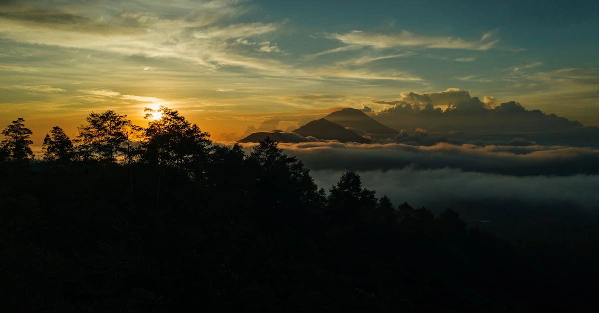 Философия риска и жизненные уроки из мира Wild West Gold